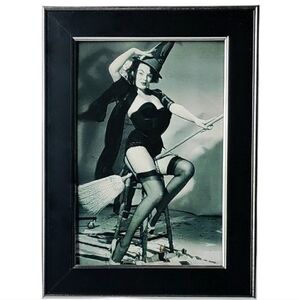 Sexy Witch on broome Halloween  Witchy Beautiful Pin Up Whimsical beautiful Art